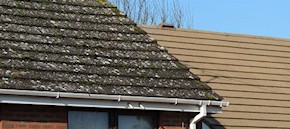 Gutter and roof cleaning in Tonbridge and Paddock Wood